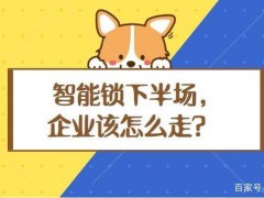 冷思考|智能鎖行業(yè)的下半場該怎么走?