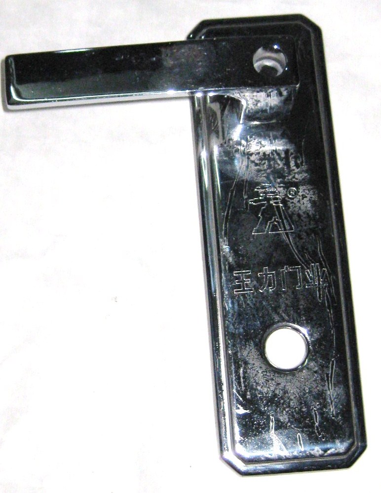 王力二代門執手